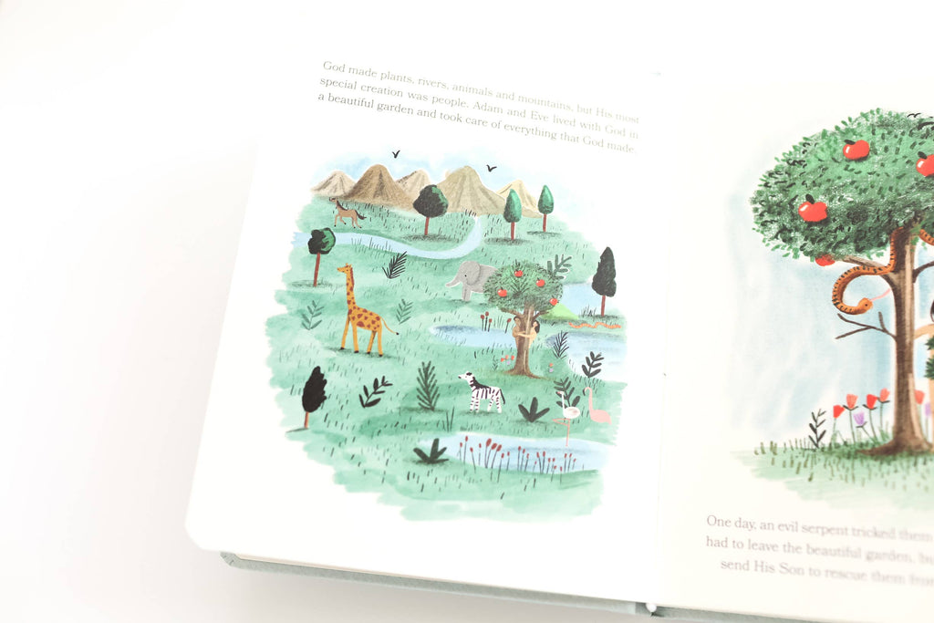 Baby’s First Bible Board Book