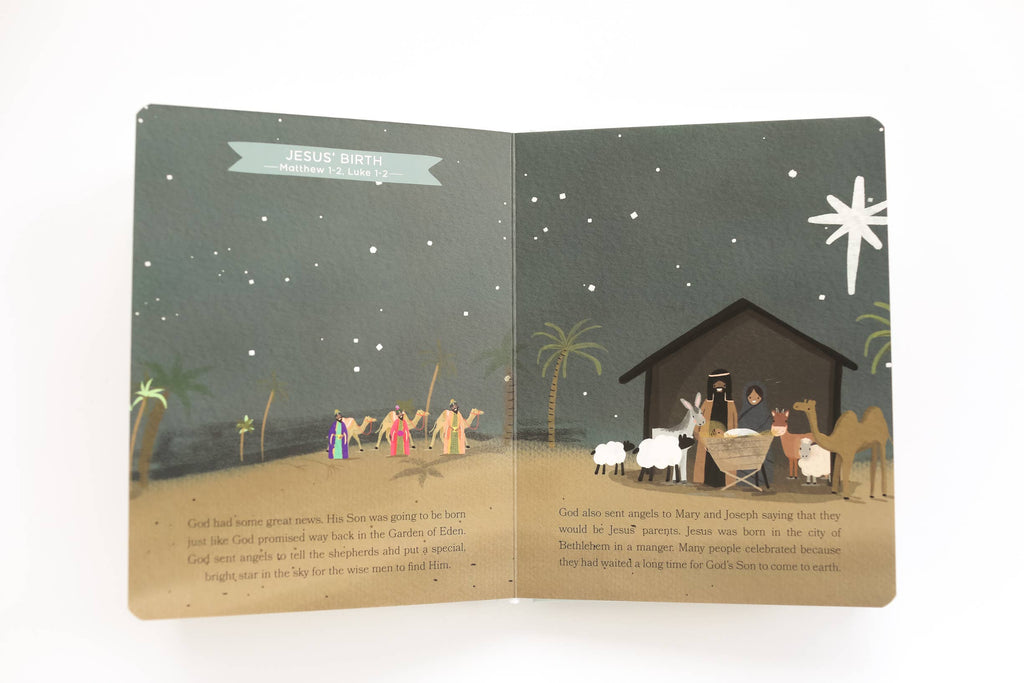 Baby’s First Bible Board Book