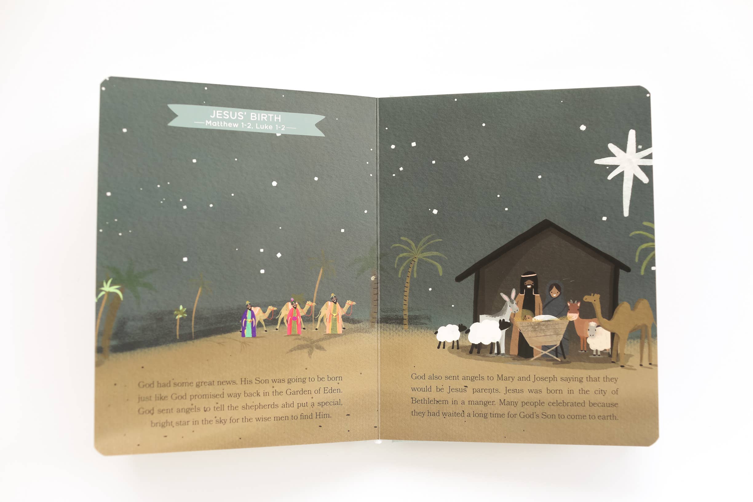 Baby’s First Bible Board Book